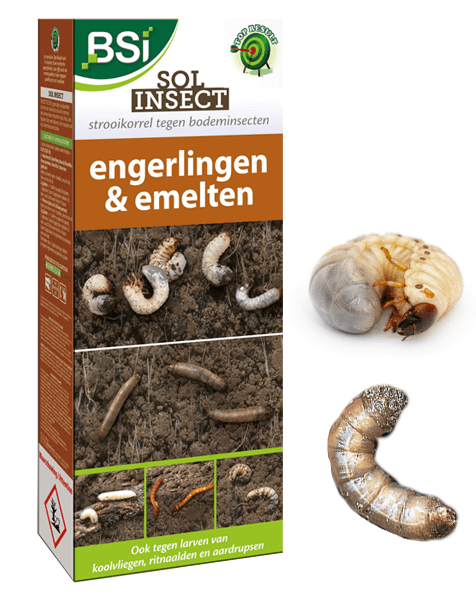 Bodeminsecten Bestrijden Met Bsi Sol Insect 1kg