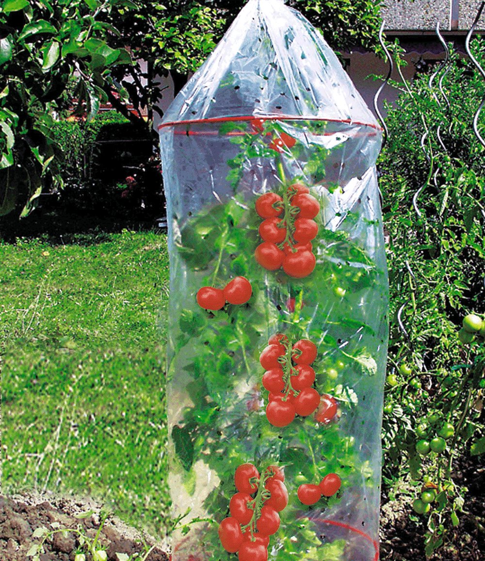 Tomatenhoes voor 7 à planten