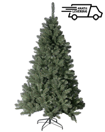 oor Schaken in stand houden Donkergroene kunstkerstboom "Everdell" | Ontdek deze duurzame kerstboom uit  PVC