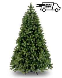 grafisch Beoordeling Pas op Namaak kerstboom | Northern Bayberry XL 243 cm