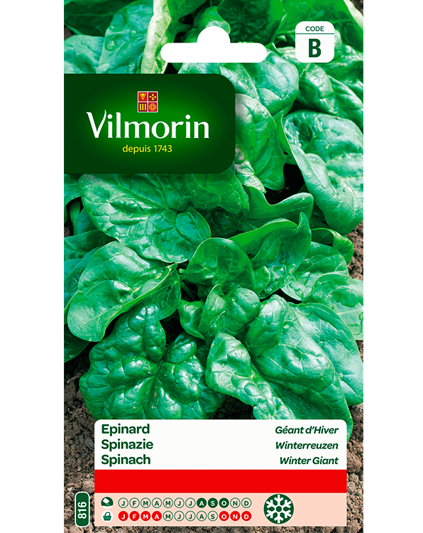 Vilmorin Zaden Spinazie Winterreuzen 15g