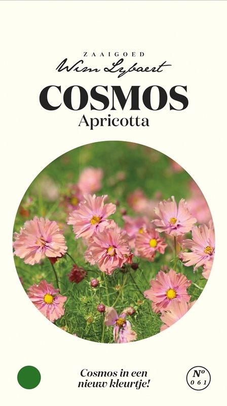 Wim Lybaert bloemzaden: Cosmos Apricotta - Zacht roze bloemen voor een prachtige bloemenzee in je tuin, de hele zomer en herfst lang.