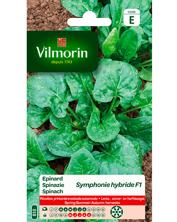 Vilmorin Spinazie zaden Symphonie HF1 10g