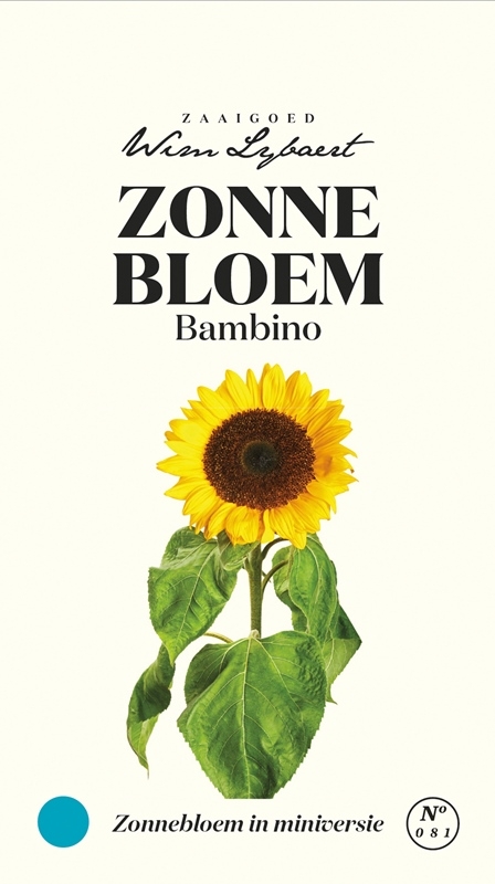 Zonnebloemzaden Bambino van Wim Lybaert - Dwergzonnebloem voor een vrolijke toets in de tuin of op het terras.