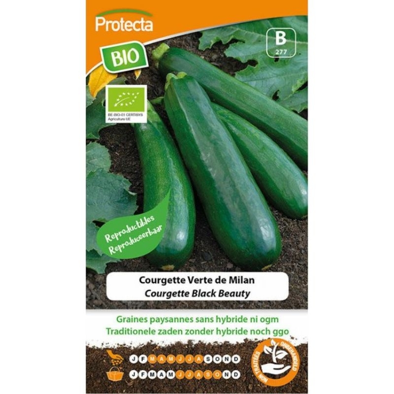 Zakje met biologische, zaadvaste courgette zaden van het ras Black Beauty.