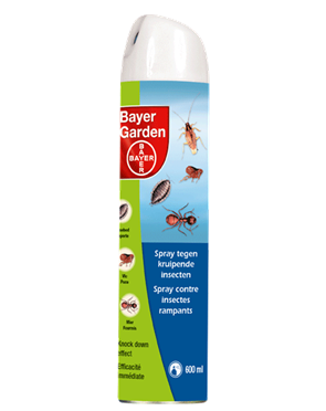 Bayer Spray Kruipende Insecten in huis bestrijden 600ml