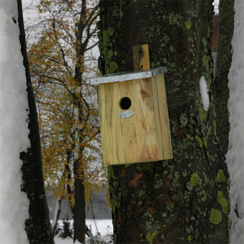 Een houten vogelhuisje met een zinken dakje hangt aan een boomstam. Er is een klein rond gat in het midden van het huisje.