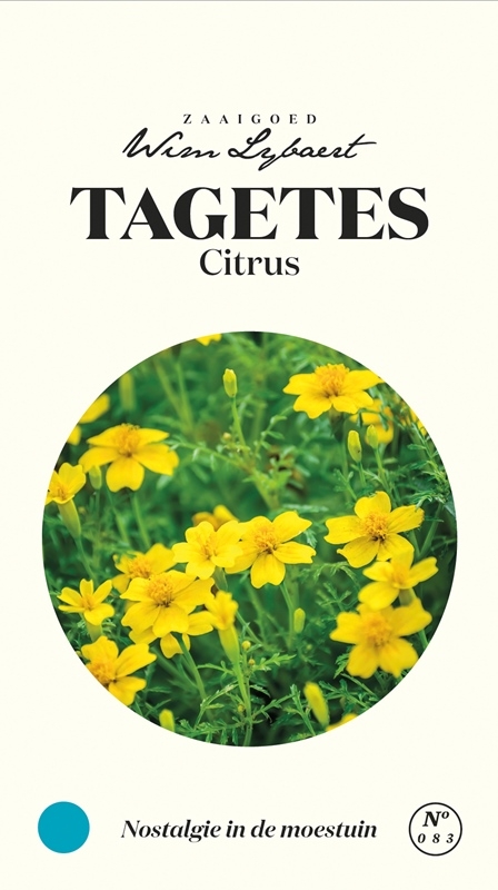 Wim Lybaert bloemzaden: Tagetes Citrus Nostalgie - Citroengele bloemen met insectenwerende eigenschappen voor de moestuin.