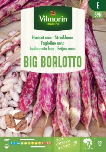 Vilmorin borlottibonen zaden Big Borlotto 150g