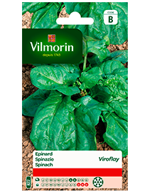 Vilmorin Spinazie zaden Viroflay Reuzen 15g