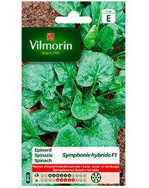 Vilmorin Spinazie zaden Symphonie HF1 10g