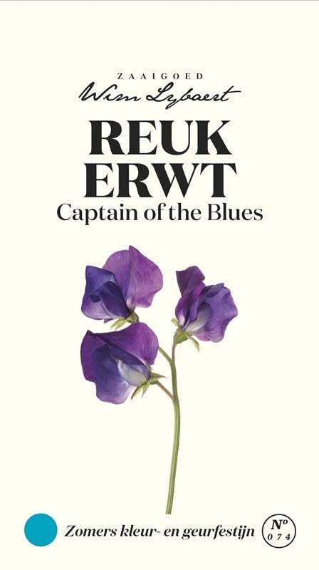 Reukerwt zaden Captain of the Blues van Wim Lybaert - Makkelijk te kweken, geurende bloemen voor een kleurrijke tuin.